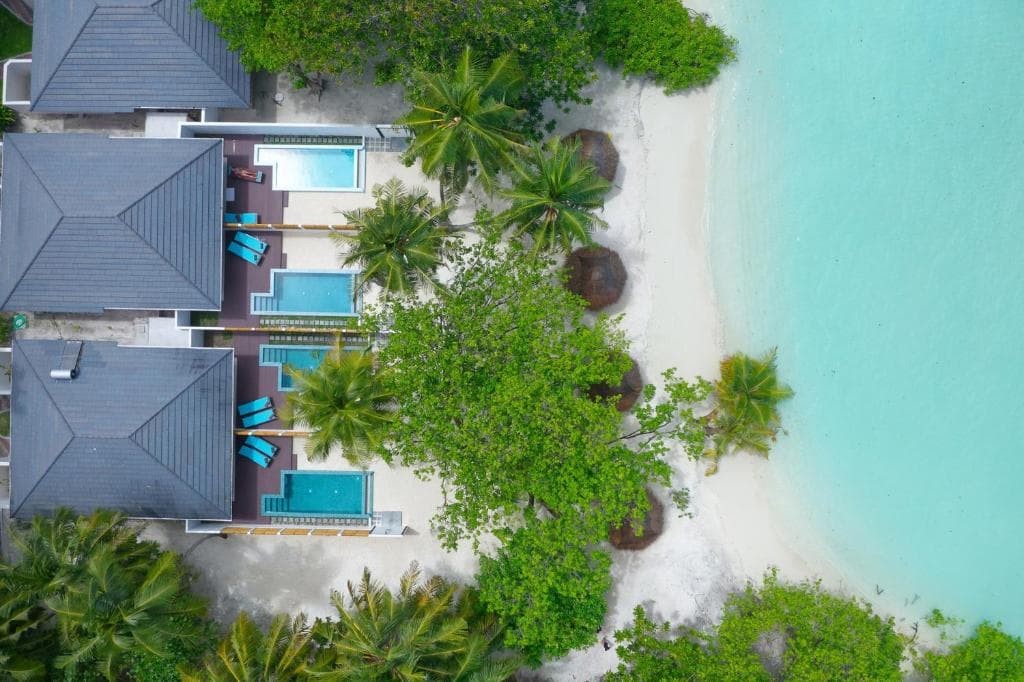Malé