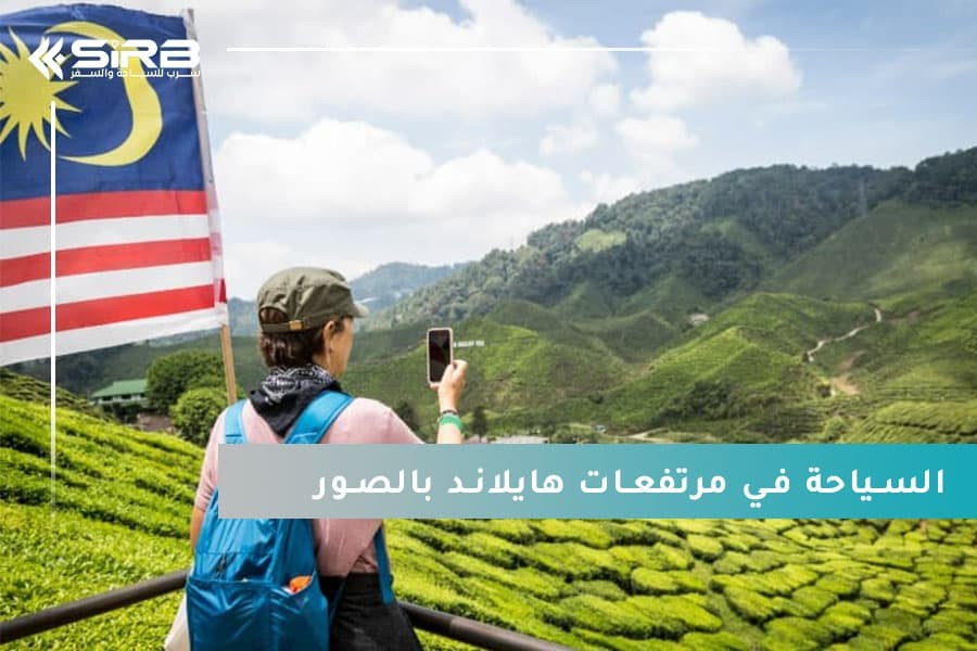 دليلك الكامل لاستكشاف مرتفعات الكاميرون في ماليزيا بالصور