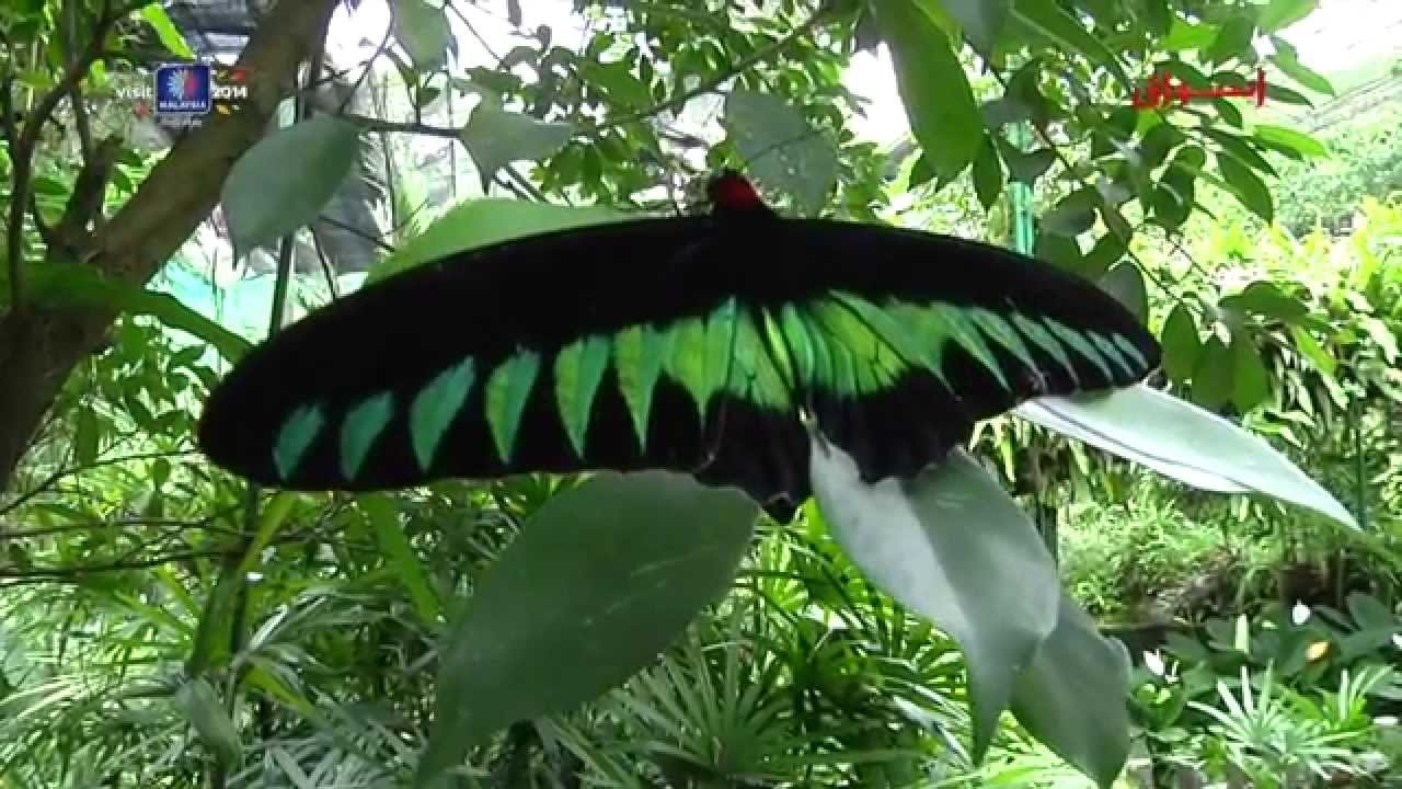 Kuala lumpur