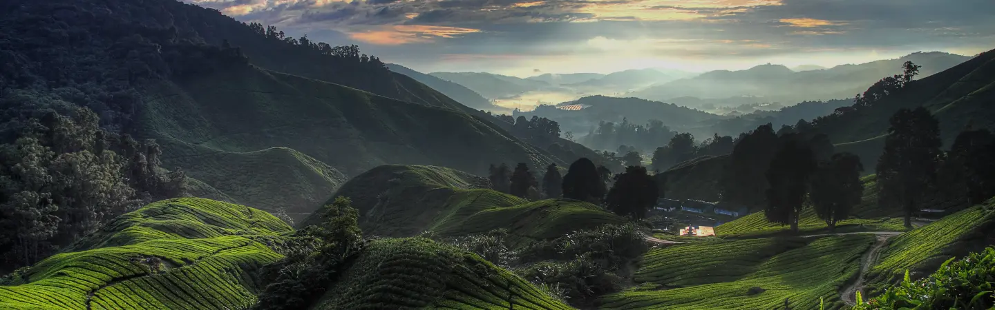 header-slide