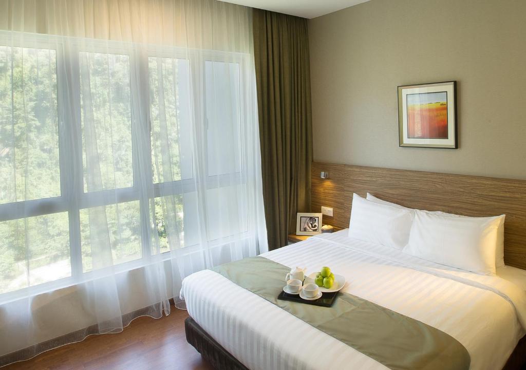 gallery_163727329-5e3bed5b69470.jpg