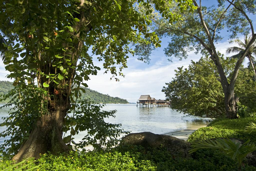 gallery_17170891-58ee347337826.jpg